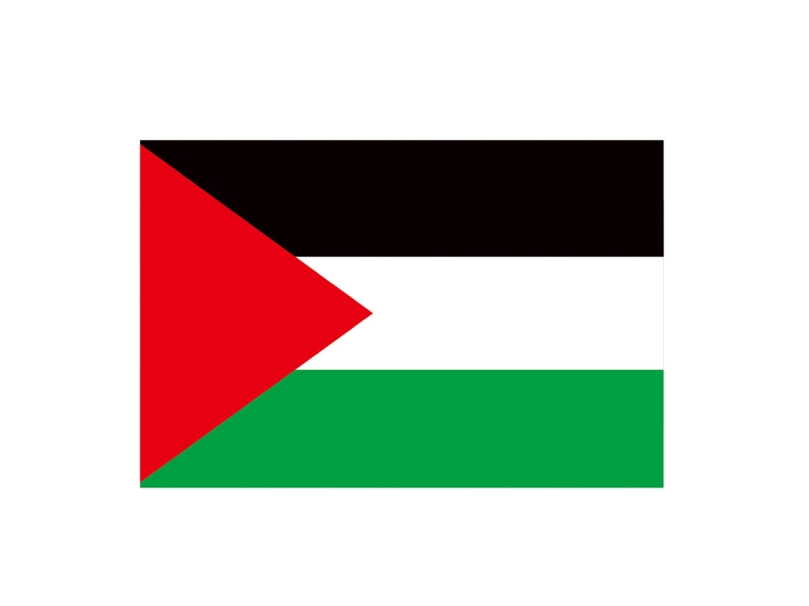 Bandeira Da Palestina Com 2 Olhos De Cobre Cor Viva Poliéster Dobro Costurado Decorativo Exterior 90x150cm
