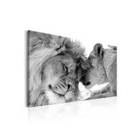 Animales
