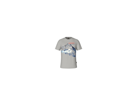 Camiseta NAPAPIJRI Forsteri Gris (M)