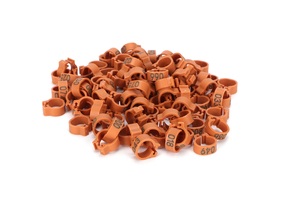 Anillas de plástico de 10 mm para patas de palomas