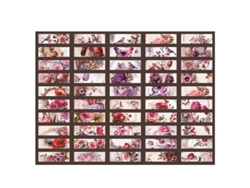 50 hojas de pegatinas vintage para álbumes de recortes con diseños vibrantes, pegatinas para diarios DIY con fuerte adherencia, tipo 2
