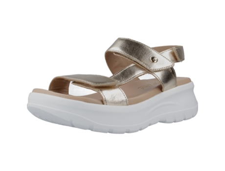 Zapatos de Mujer PANAMA JACK Noor Shine Tecido Dorado (38)