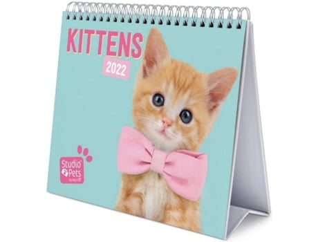 Calendario Escritorio Deluxe 2022 studio pets cats sobremesa gatos │ animales mesa anual producto con licencia oficial erik