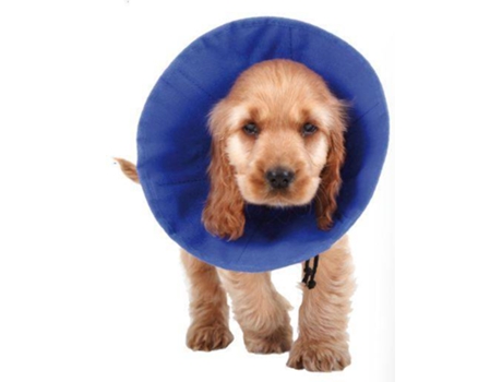 Colar Isabelino Para Perros KVP Ez Soft (30-50x20 cm)