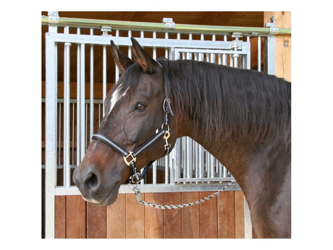 Cabezada de poni 2 ajustes Kerbl mustang