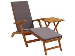 Maison Exclusive - Recliner Y Tumbona Plegable 2 Pcs Gris Oscuro