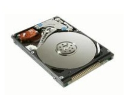 Disco Interno CoreParts AHDD0312.5 160 GB IDE/ATA
