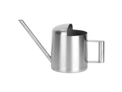 Regadera de acero inoxidable de 300 ml para plantas verdes