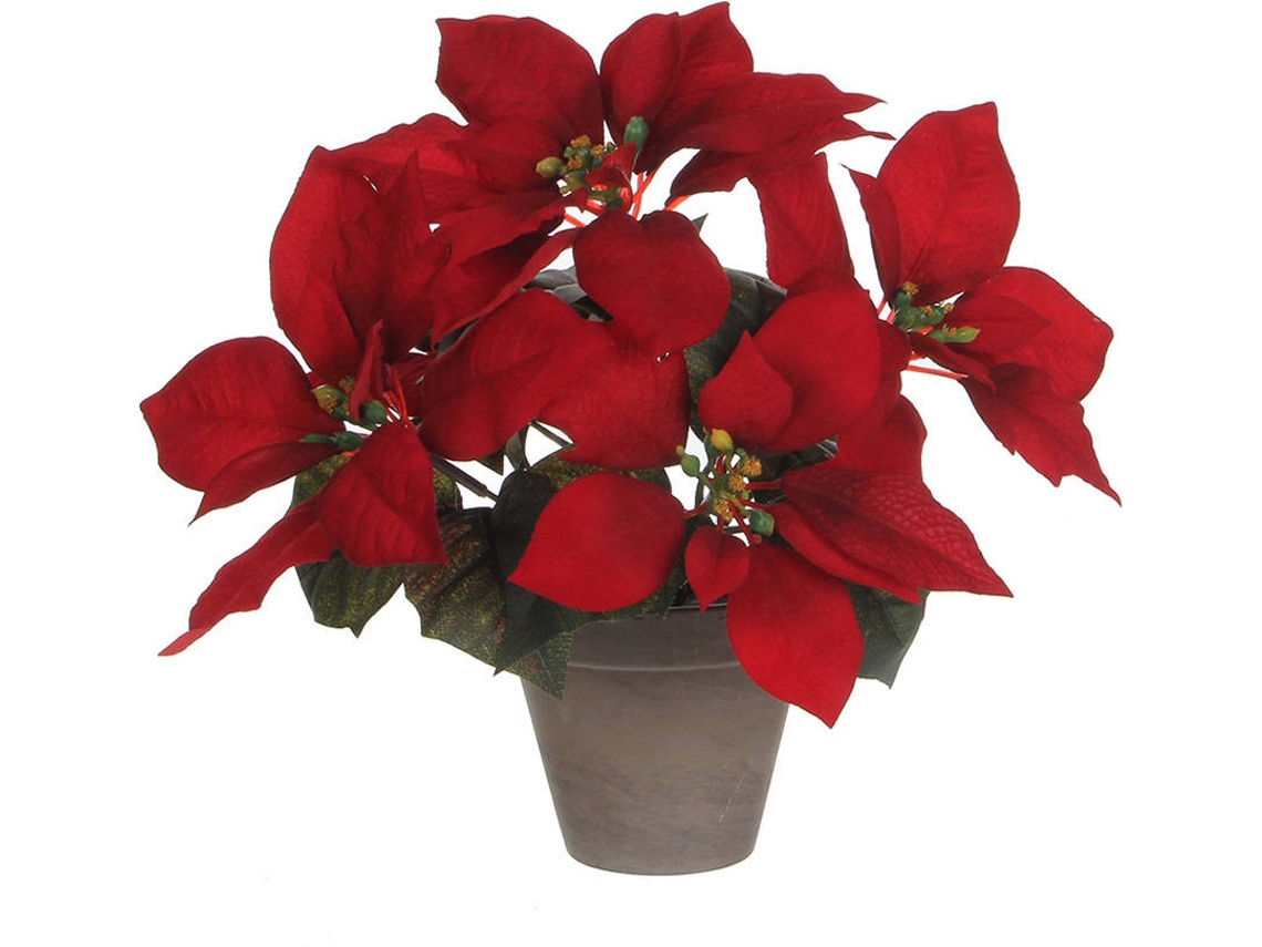 Planta Flor Navidad Roja En Jarrón Gris MICA DECORATIONS (27x35cm)