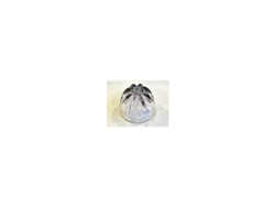 Exprimidor De Cono At312 A960 Kw675790 KENWOOD