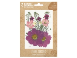 14 flores prensadas - prado púrpura