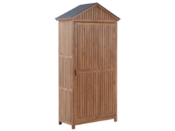 Cobertizo de jardín BELIANI Savoca de Madera de acacia Marrón 100x40x200
