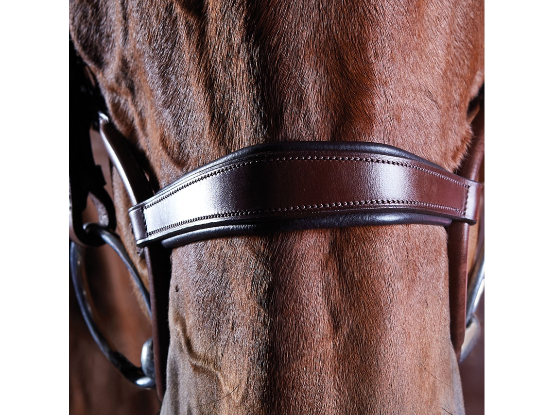 Bridas de montar de cristal WEATHERBEETA Collegiate Comfitec