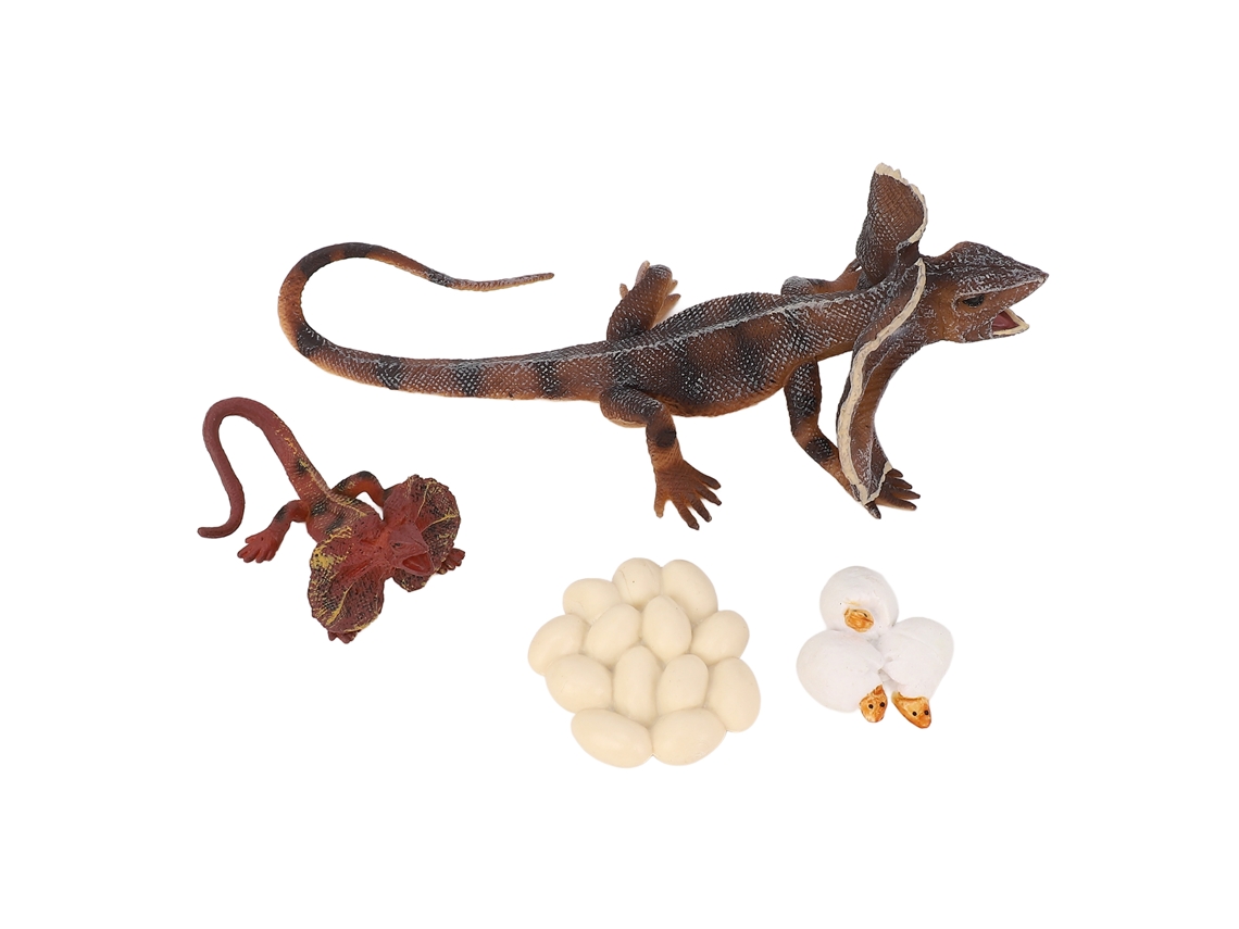 Walshlxq Juego de 4 piezas de juguetes educativos para niños: modelo de animal simulado del ciclo de crecimiento de un lagarto.