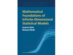 Libro Mathematical Foundations of Infinite-Dimensional Statistical Models (Inglés)