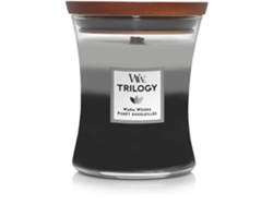 Vela de vidrio mediana Woodwick 92911e