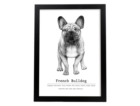 Póster NACNIC de Bulldog con Texto. Decorativa de Perros.