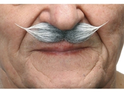 Bigote DISFRAZZES De Época Canoso (Talla: Talla Universal)