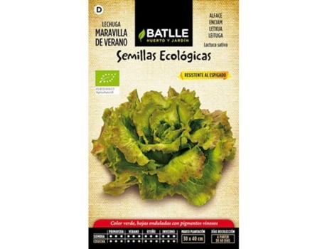 Semillas Ecológicas de Lechuga Maravilla de Verano