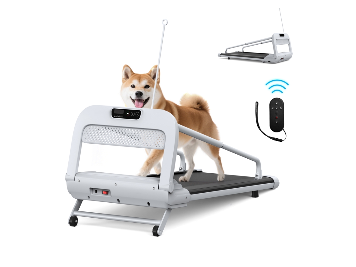 Cinta de correr para mascotas con velocidad ajustable, perfecta para perros pequeños y medianos.
