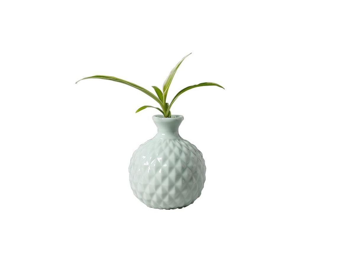 Jarrón De Cerámica Verde Claro Con Forma De Macaron Para Arreglos Florales Hidropónicos Linjou