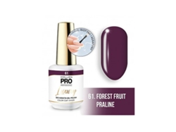 Color de lujo 61 8ml MOLLON PRO PROFESSIONAL