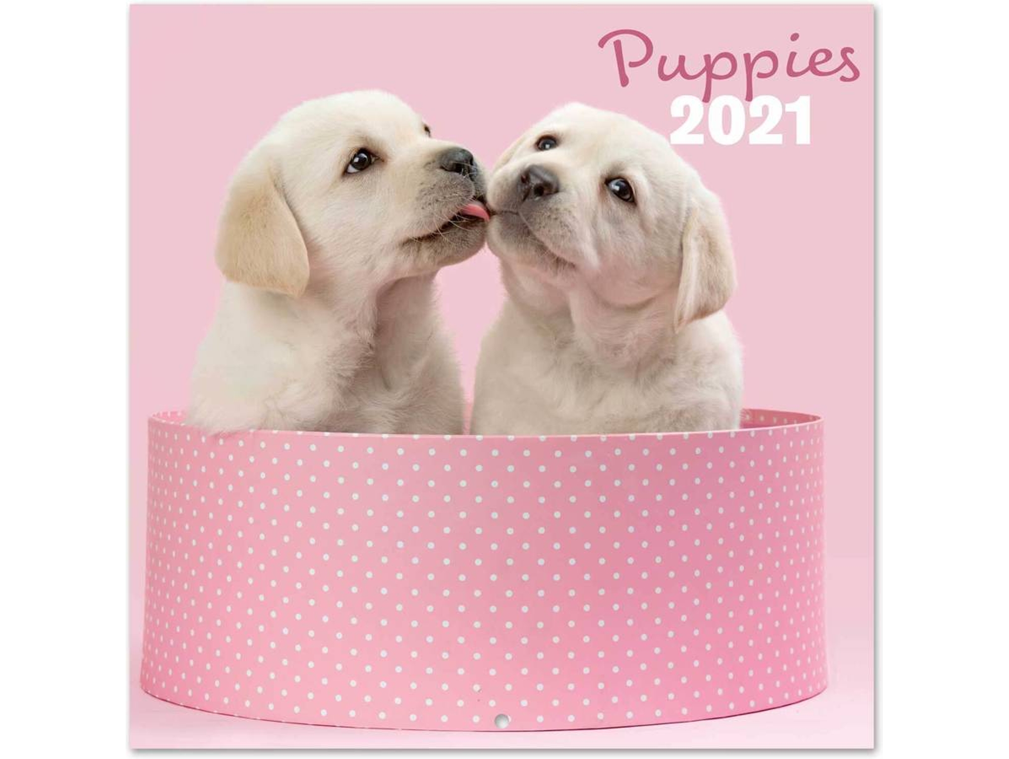 Calendario ANIMALES Chantrenne Dog (2021 - 30 x 30 cm)