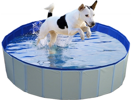 Piscina para Perros DUVO (Azul - 120x30cm - PVC)
