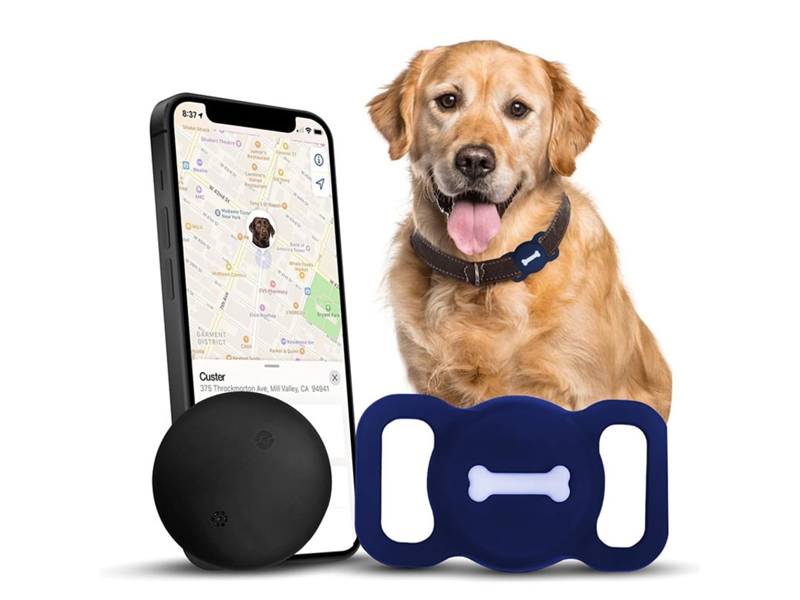 Localizador De Mascotas Czhhmart, Compatible Con La Función Buscar Mi (solo Ios) Azul