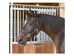 Cabezada de poni 2 ajustes Kerbl mustang