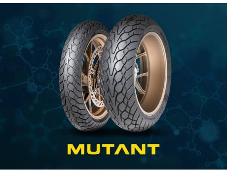 Neumático DUNLOP 150/60 Zr17 66W Mutant